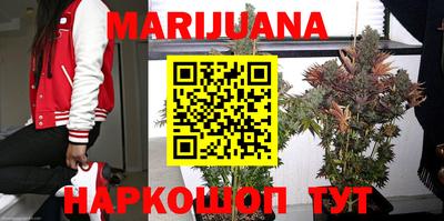 крисы Будённовск