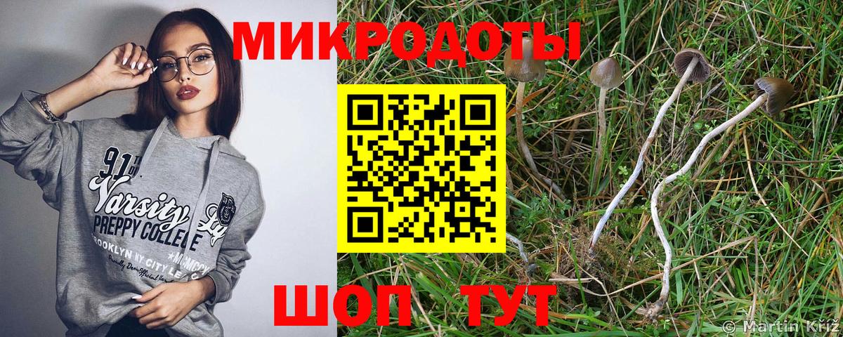 Галлюциногенные грибы ЛСД Георгиевск