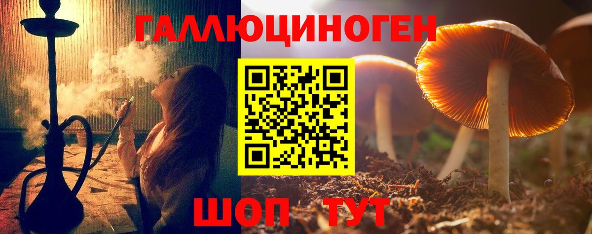 Псилоцибиновые грибы MAGIC MUSHROOMS  Вход с VPN  Георгиевск 